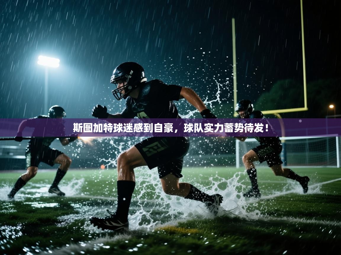 斯图加特球迷感到自豪，球队实力蓄势待发！  第1张