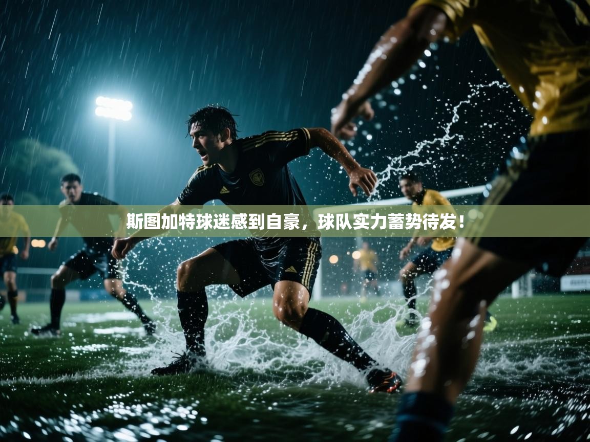 斯图加特球迷感到自豪，球队实力蓄势待发！  第2张