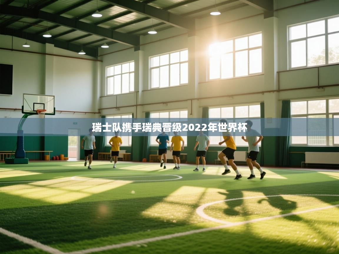瑞士队携手瑞典晋级2022年世界杯  第2张