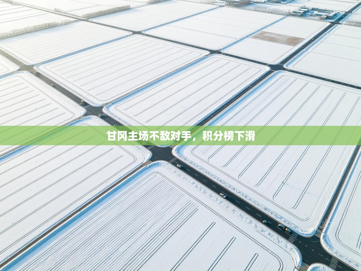 甘冈主场不敌对手，积分榜下滑  第1张