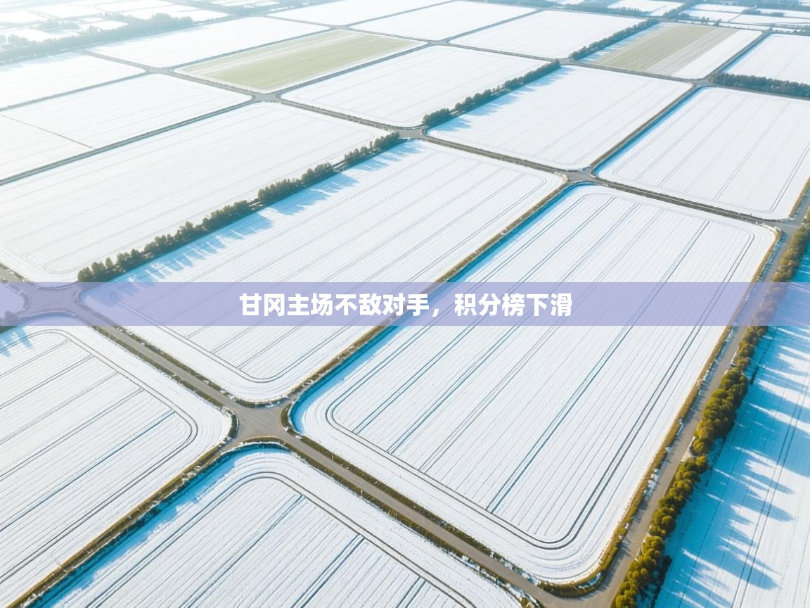 甘冈主场不敌对手，积分榜下滑  第2张