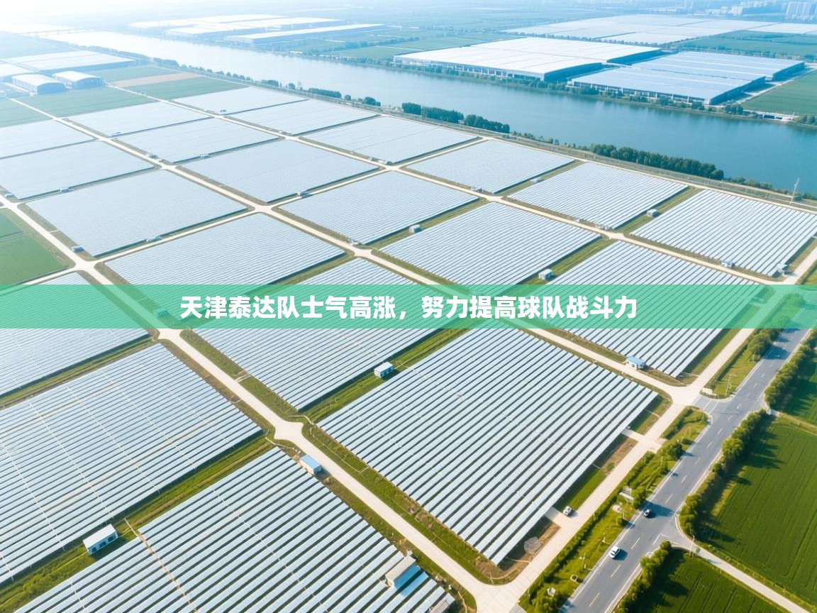 天津泰达队士气高涨,努力提高球队战斗力 第1张