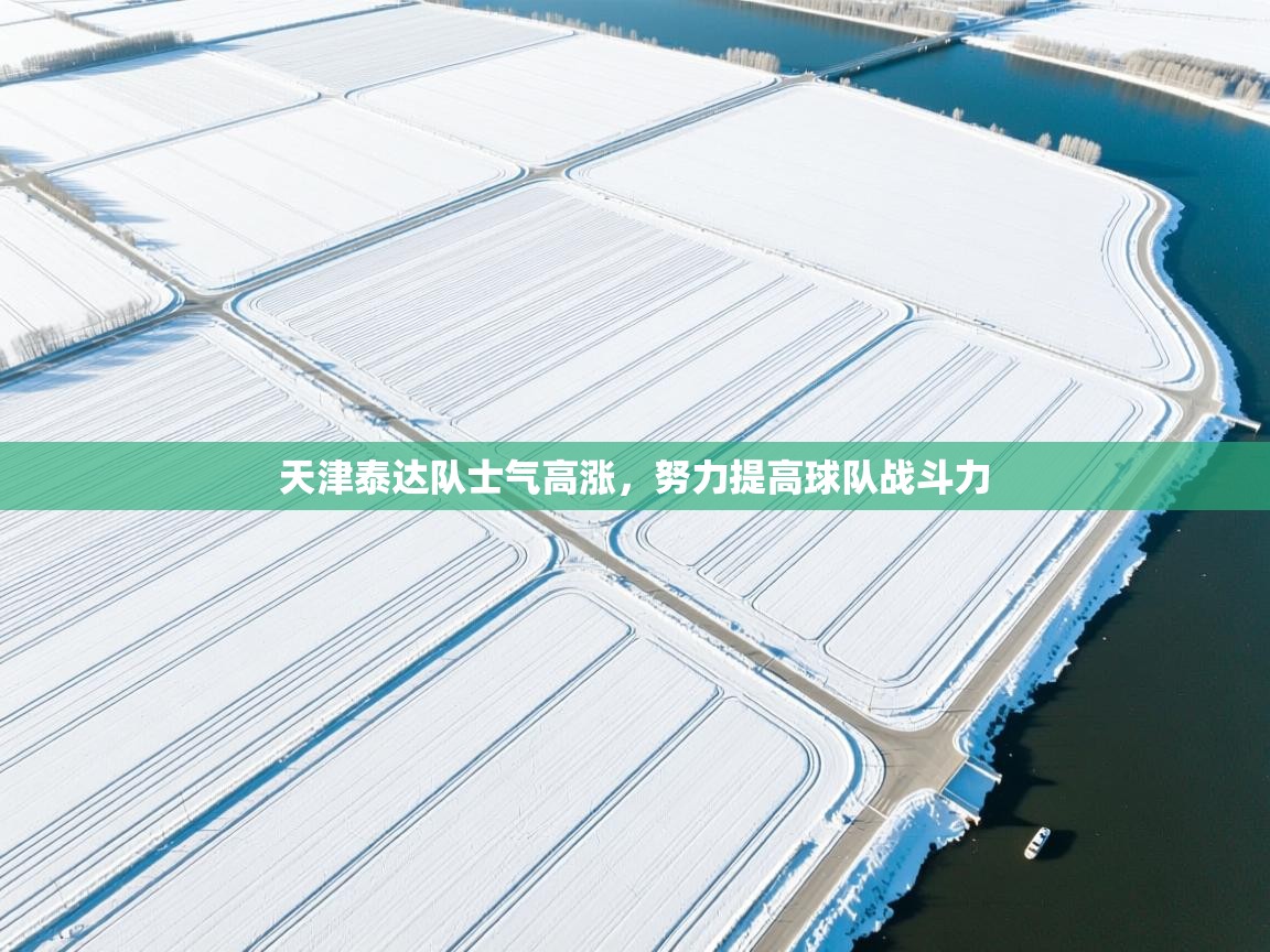 天津泰达队士气高涨,努力提高球队战斗力 第2张