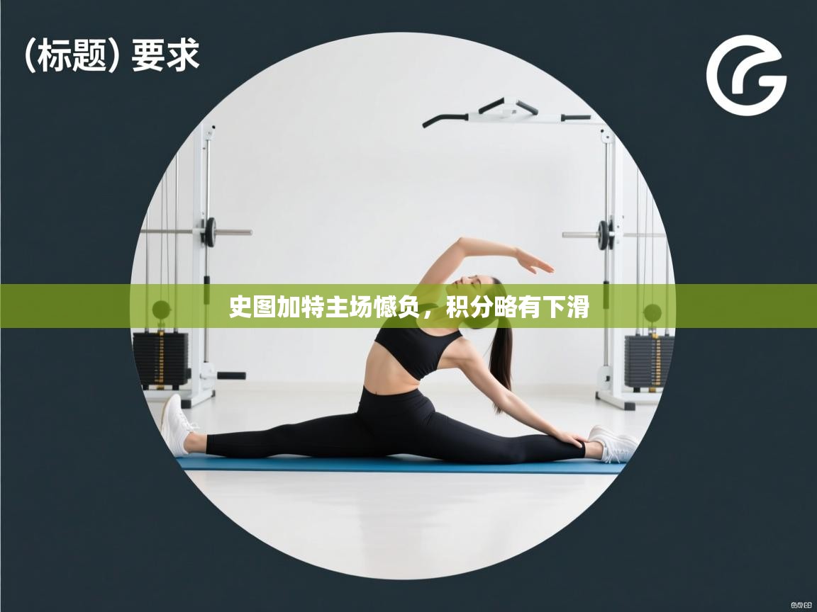 史图加特主场憾负,积分略有下滑 第2张