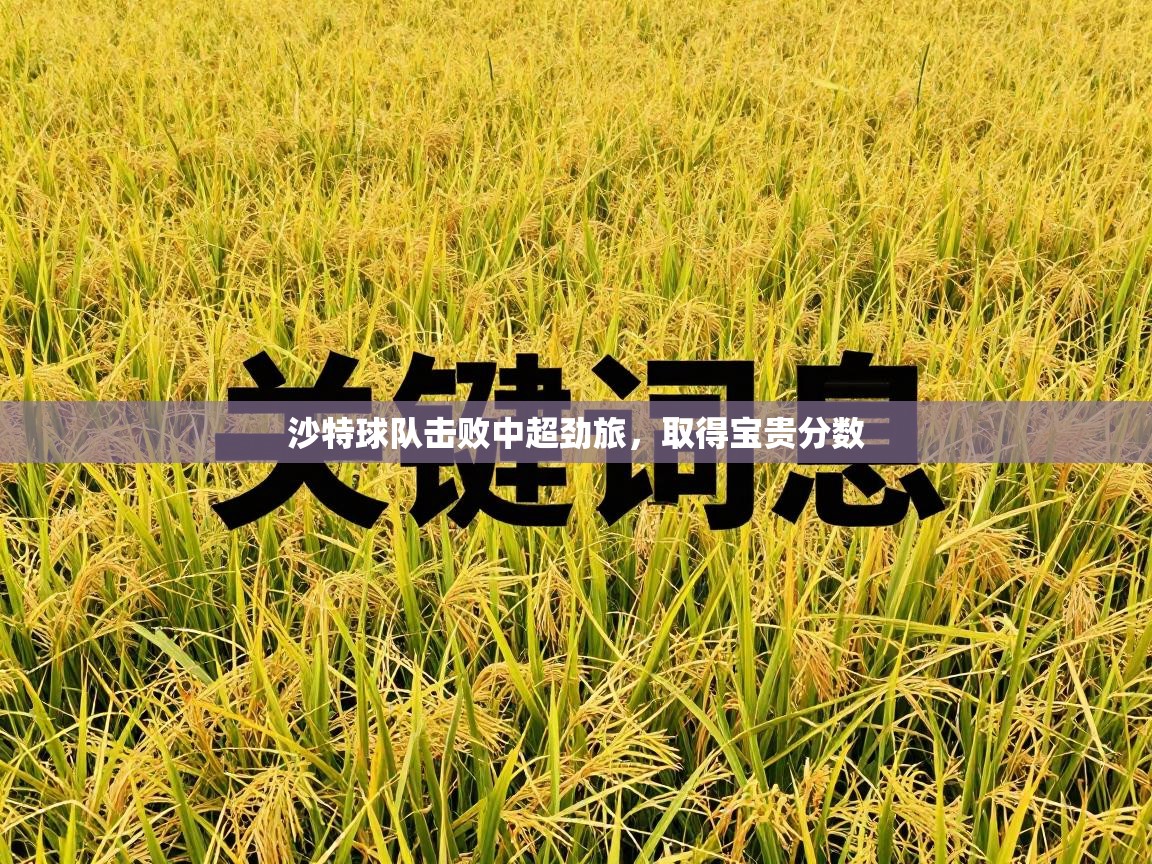 沙特球队击败中超劲旅，取得宝贵分数  第2张